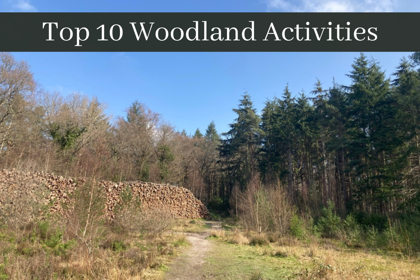 top woodland activities